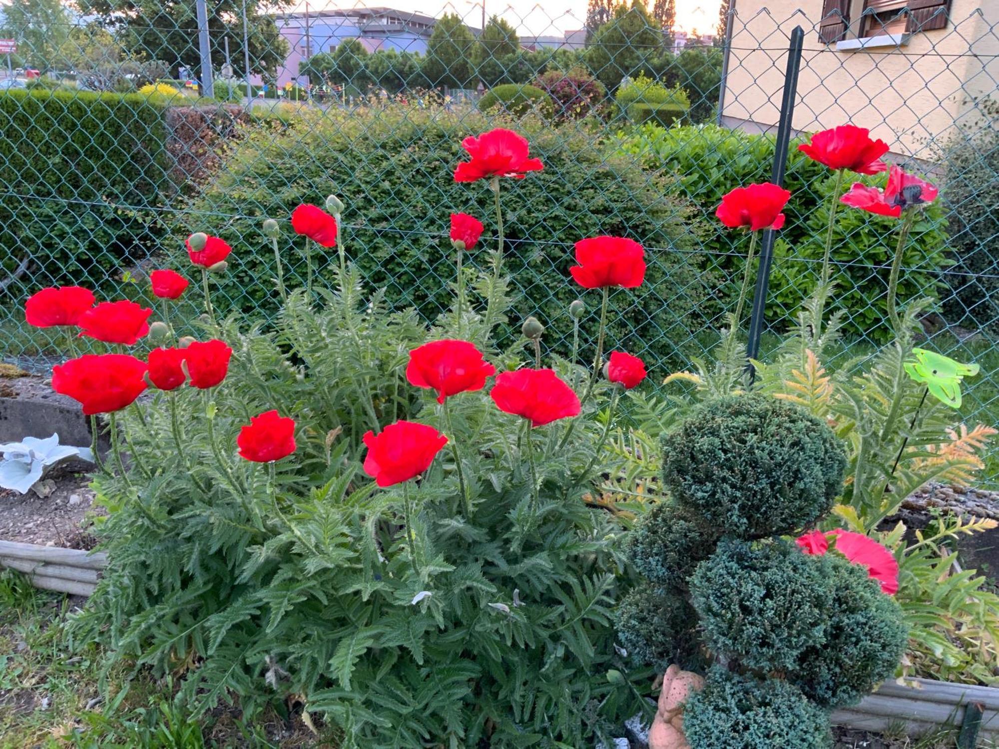 Le Nid Fleuri De Cravanche ภายนอก รูปภาพ