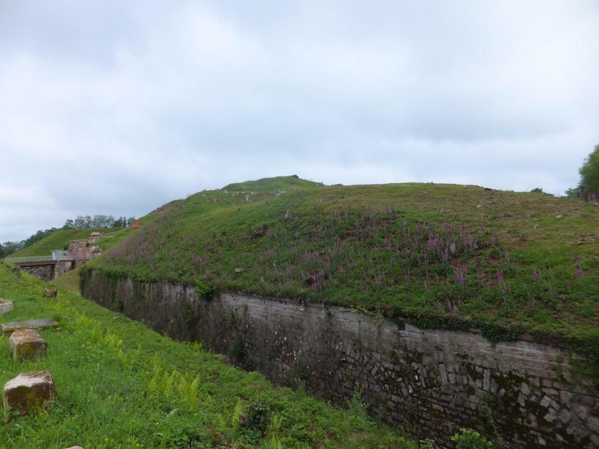 Le Nid Fleuri De Cravanche ภายนอก รูปภาพ