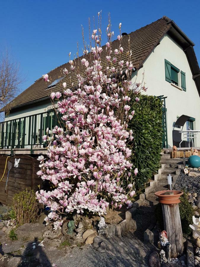 Le Nid Fleuri De Cravanche ภายนอก รูปภาพ